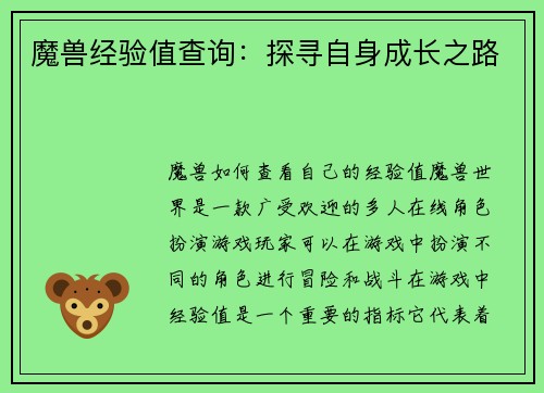 魔兽经验值查询：探寻自身成长之路